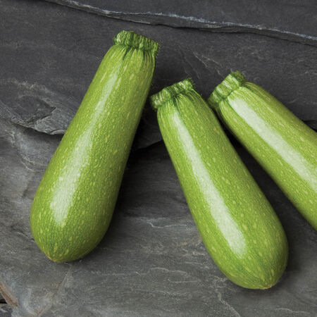 San Isidro, Squash Seeds - Packet image number null